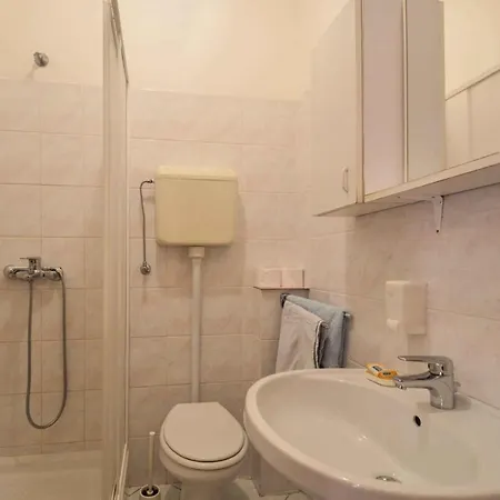 Apartment In Pjescana Uvala/istrien 11166