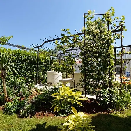 Apartment In Pjescana Uvala/istrien 11166