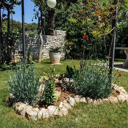 In - Istrien 11166 Apartman Pješčana Uvala